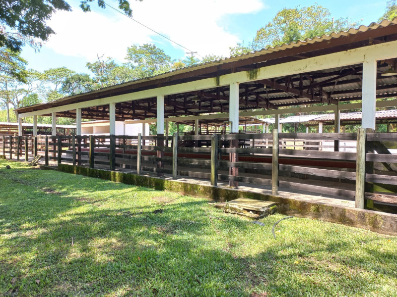 Fazenda de 80 alqueires em Redenção da Serra — foto 4