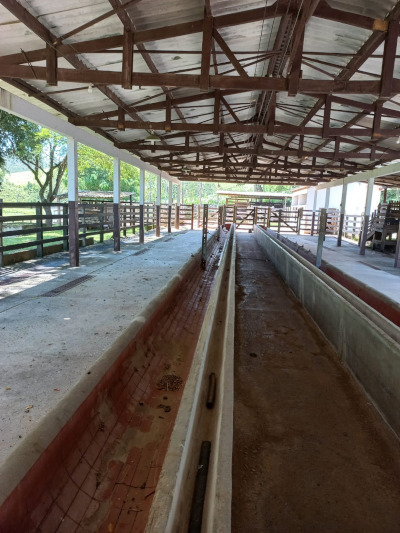 Fazenda de 80 alqueires em Redenção da Serra — foto 5