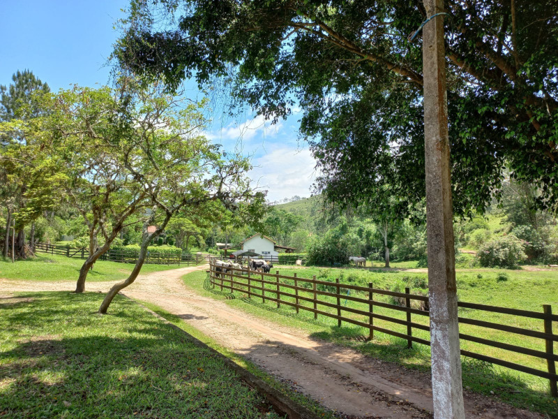 Fazenda de 80 alqueires em Redenção da Serra — foto 6