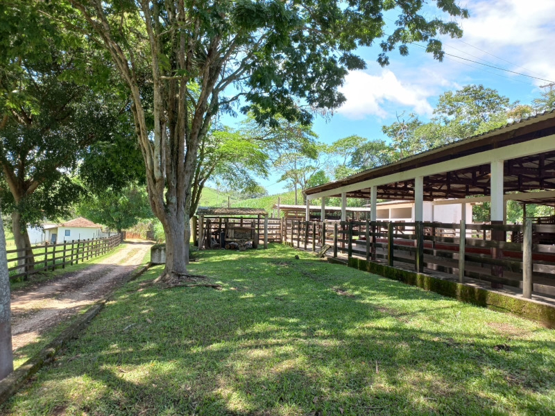 Fazenda de 80 alqueires em Redenção da Serra — foto 9
